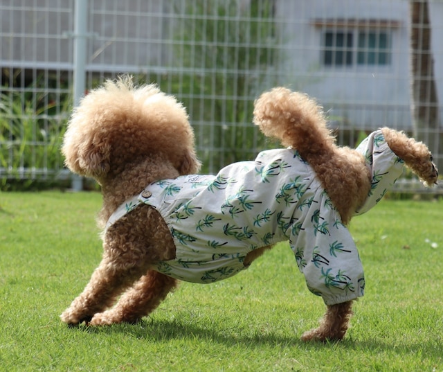 南国ロッジ Booya