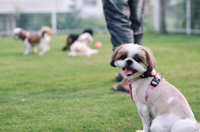 南国ロッジ Booya