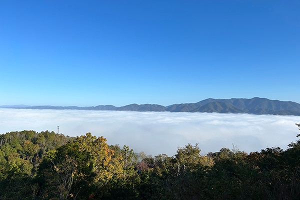 農家民宿こいや