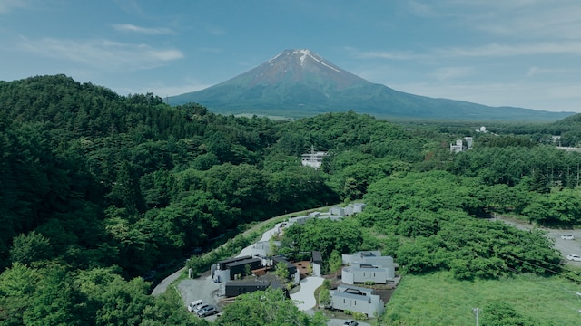 BLANC FUJI