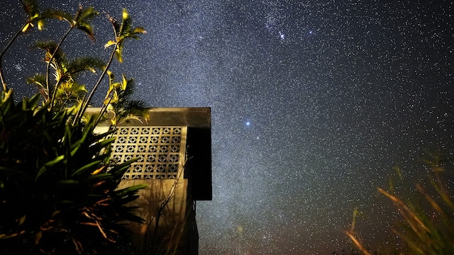 クロロビアンコ<奄美大島>