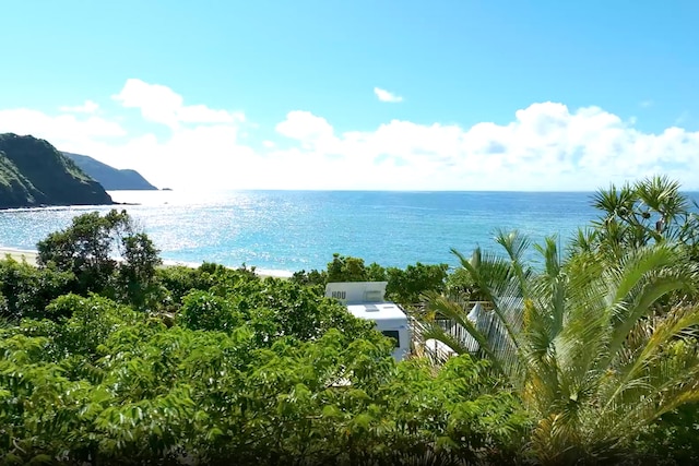 奄美温泉 大和 ハナハナビーチリゾート