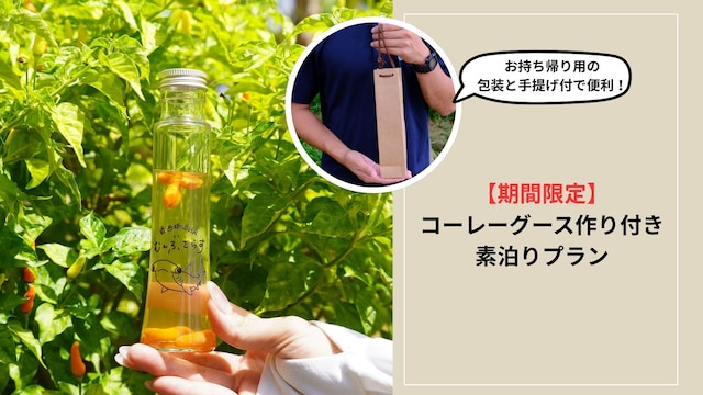 与那国島ホテル むんぶステイ ナンタ浜