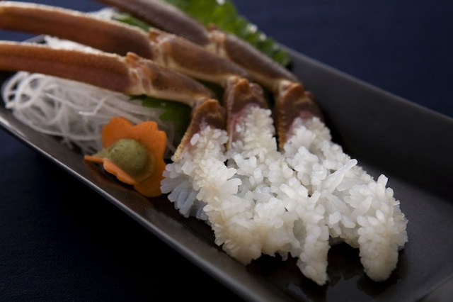 神鍋温泉 オーベルジュ アルビレオ天文台