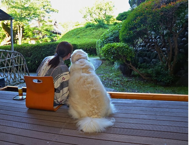 修善寺温泉 愛犬と泊まれる宿 絆+ (きずなプラス)