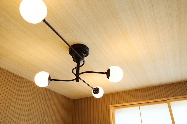 マイグレpetit渋谷原宿