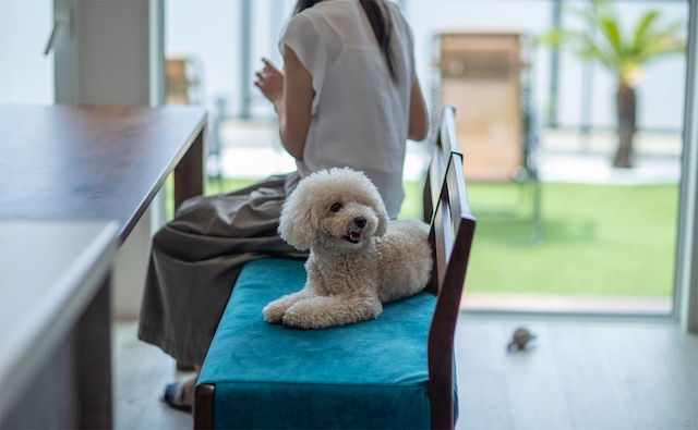 たびの邸宅 Y-beach