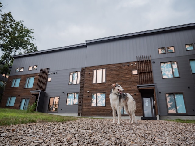 スノードッグビレッジ