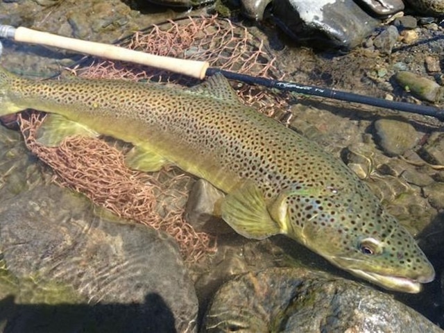 信州不動温泉 さぎり荘