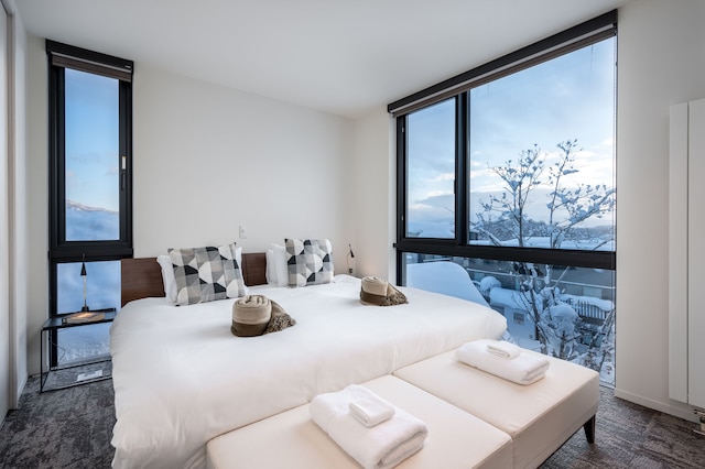 ようていドリームワン