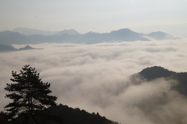 旅館大和屋