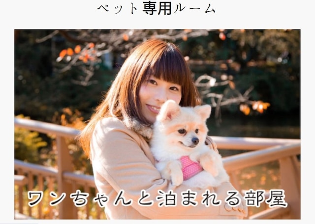 湯の川温泉 ホテル雨宮館