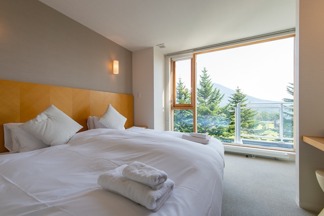 ニセコランドマークビュー