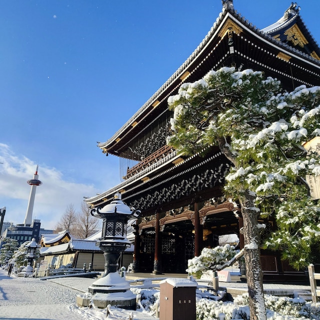 Stay SAKURA Kyoto 東本願寺Ⅰ