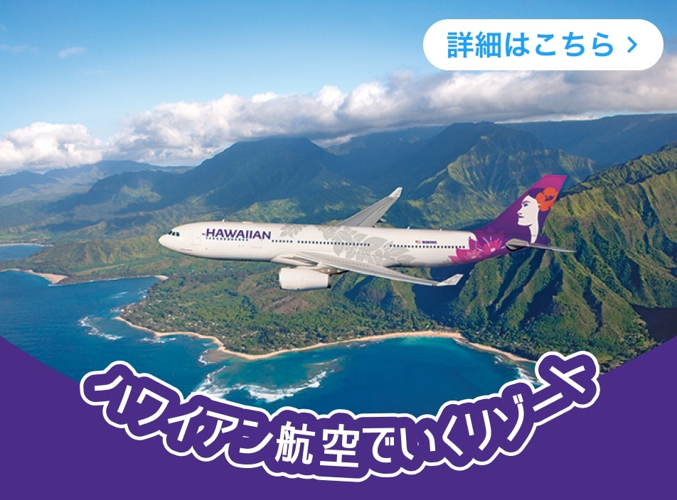 Hawaiian Airlines