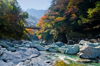 徳島空港から自然と歴史文化が楽しめる観光スポットへドライブ