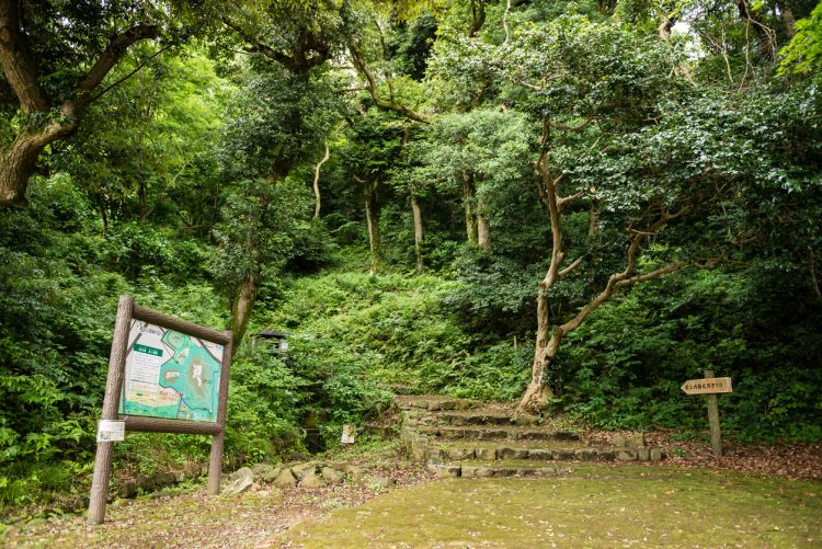 米子空港から山の神秘に触れる