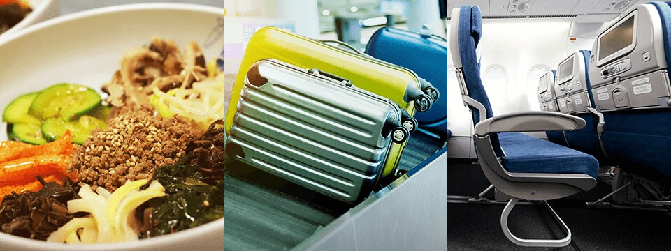 機内食 手荷物 快適なシート