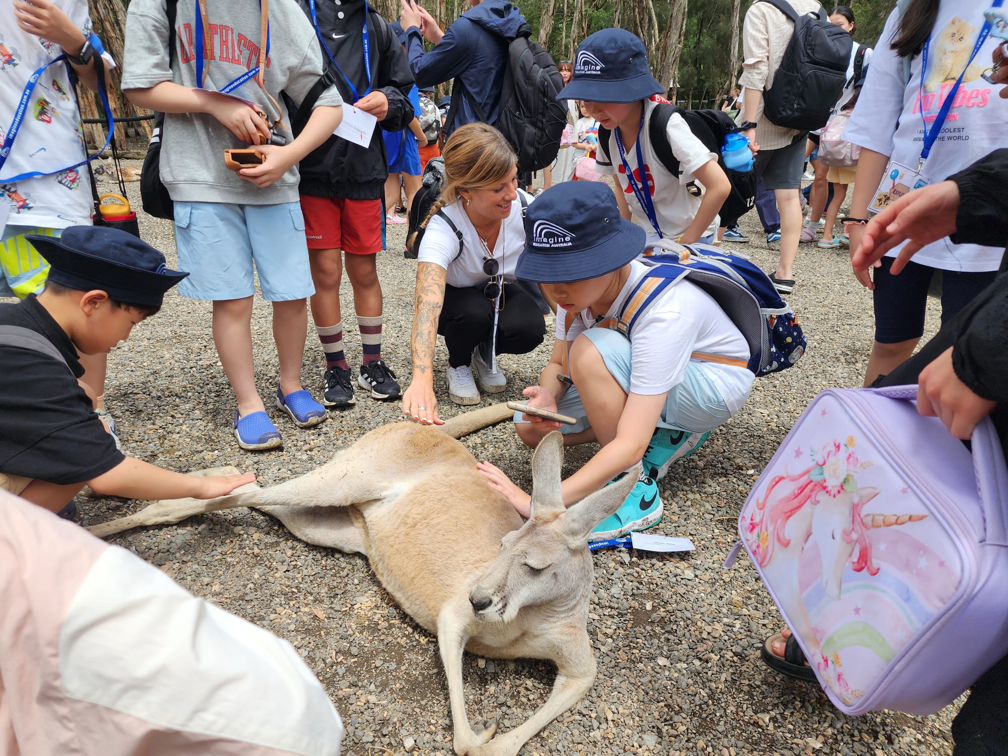 ゴールドコーストでのジュニア留学プログラムでカンガルーと触れ合う子供