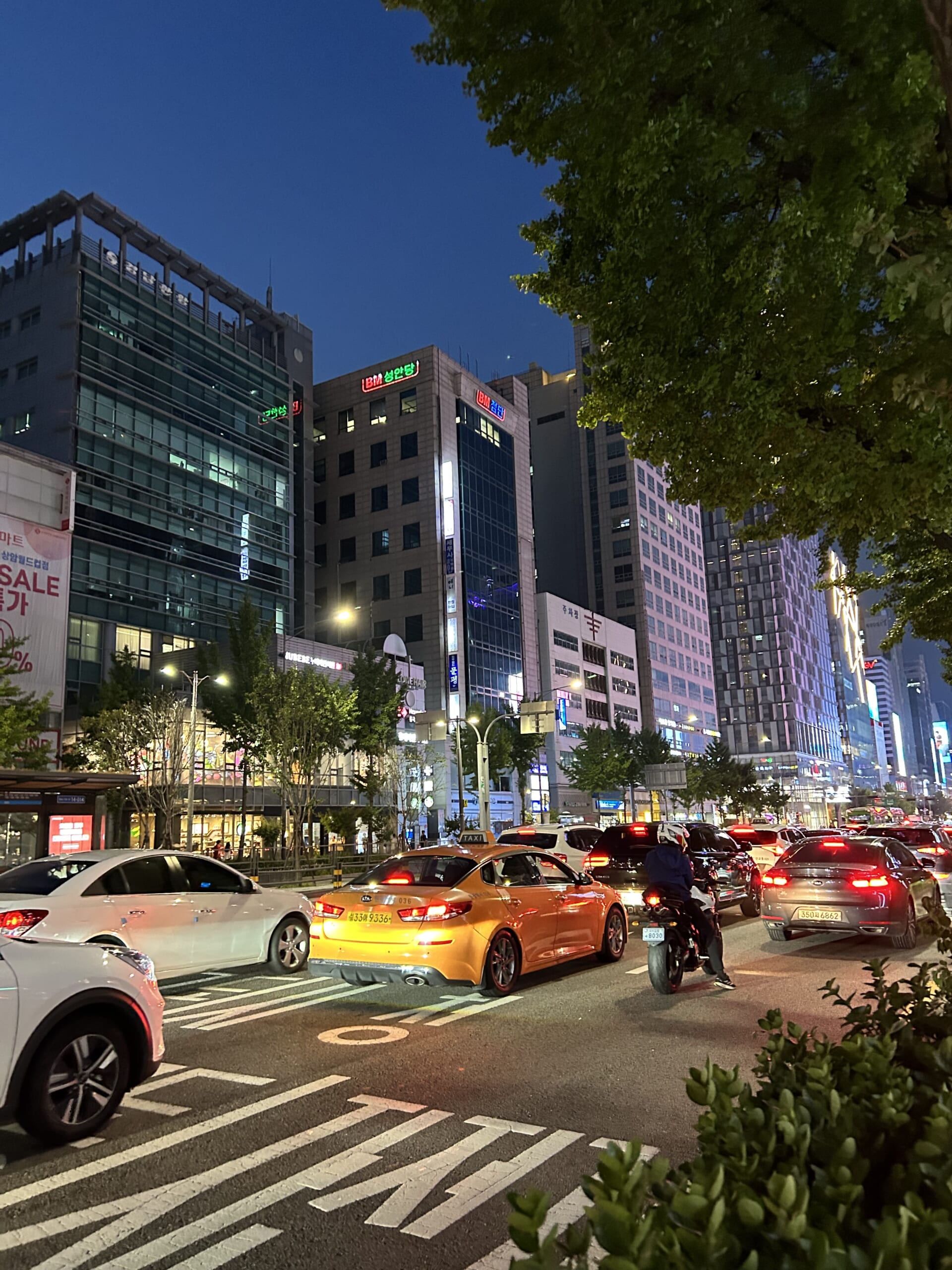 韓国ジュニア留学　夜のソウルの街