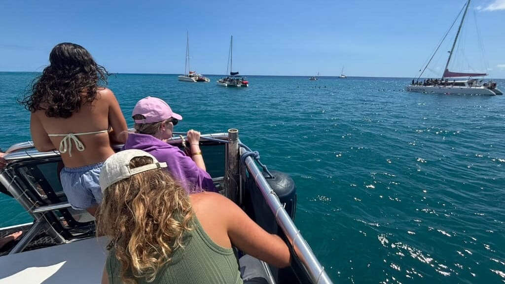 ハワイ シュノーケリング