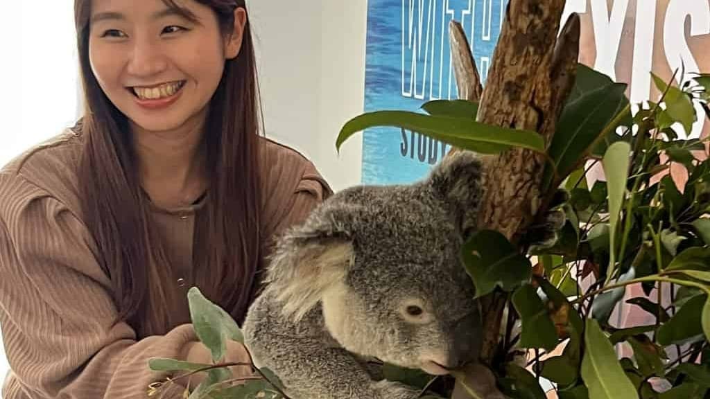 レクシスブリスベン校のアクティビティ