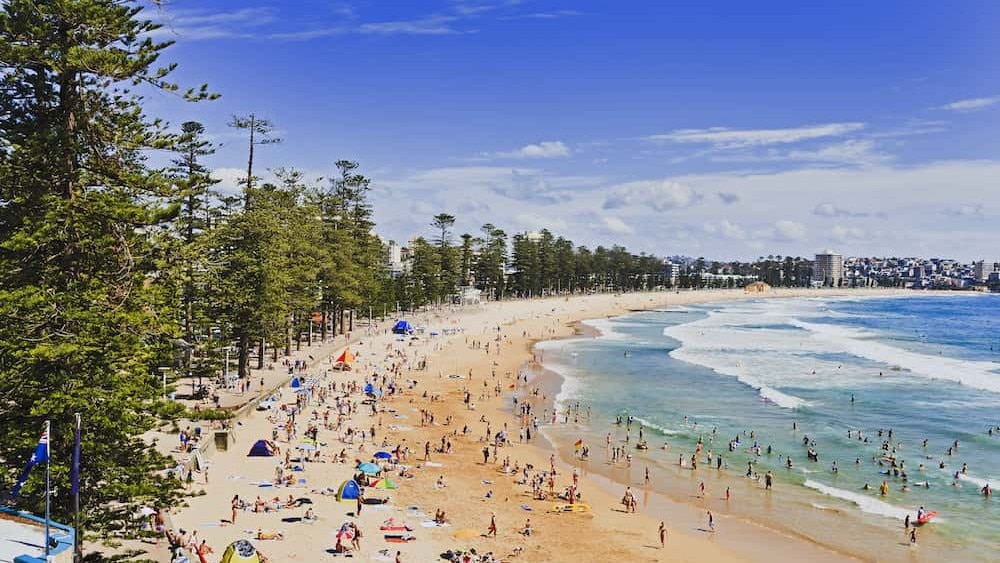 レクシスシドニーマンリー校周辺環境