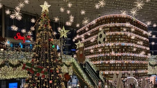 Lexis Korea  韓国留学