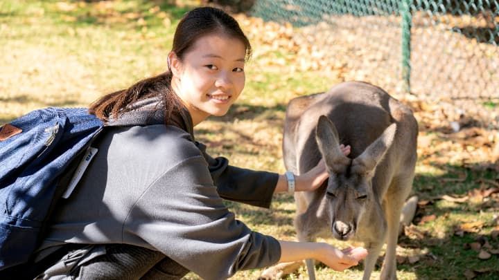 オーストラリアのジュニアキャンプでカンガルーと触れ合う日本人生徒